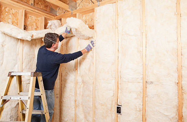 Types of Insulation We Offer in Medina, TX